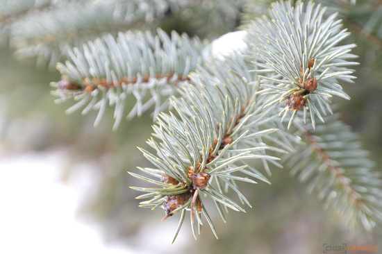 Samsung NX200: 20 mega v útoku