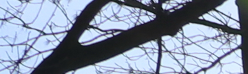 Canon EF-S 18-135mm f/3.5-5.6 IS Nano USM