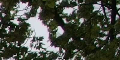 Olympus Stylus XZ-2: jednoduše skvělý