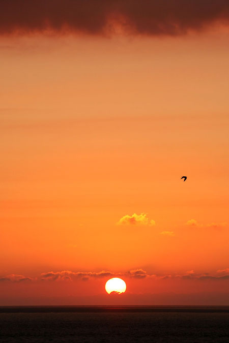 S fotoaparátem po Holandsku: III.