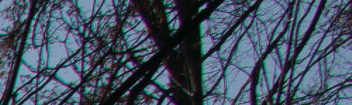 Nikon AF-P NIKKOR 18-55mm f/3.5-5.6G VR