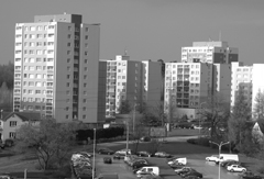 Nikon Coolpix L100: lovec hmyzu