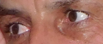 Nikon Coolpix L840: makroborec s 38x zoomem