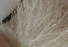 Sony Cyber-shot RX100: terminátor zrcadlovek