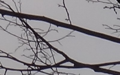 Sony Cyber-shot TX10: odolný zálesák