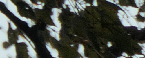 Panasonic Lumix TZ200: kamarád na cesty