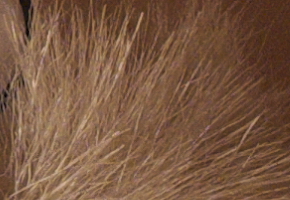 Fujifilm X-M1: našlapaná stylovka