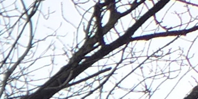 Panasonic Lumix LX7: kompaktní hvězda noci