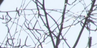 Nikon 1 NIKKOR 30-110mm 1:3,8-5,6 VR