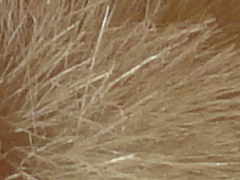 Sony Cyber-shot W570: jde to i s 16 megapixely