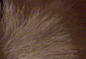 Nikon Coolpix P330: do vyšších sfér