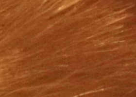 Sony Alpha SLT-A35: úspěšně proti zrcadlovkám