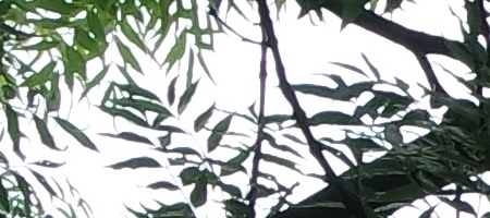 Samsung 16-50mm 1:3.5-5.6 ED OIS Power Zoom