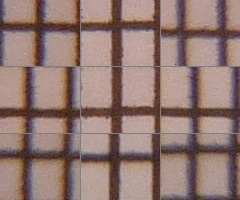 Panasonic Lumix TZ10: kapesní dělo