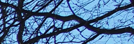 Olympus M.Zuiko Digital 25mm 1:1.8