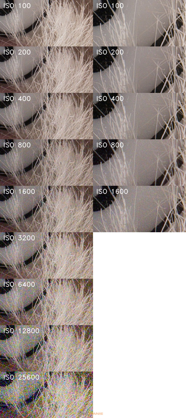 Panasonic Lumix G9: skutečně výborný