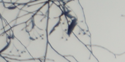 Sony SAL-18250 (DT 18-250mm F3,5-6,3)