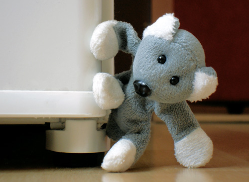 Fotíme s Koalou: Základy kompozice