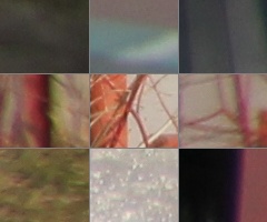 Megatest ultrazoomových objektivů