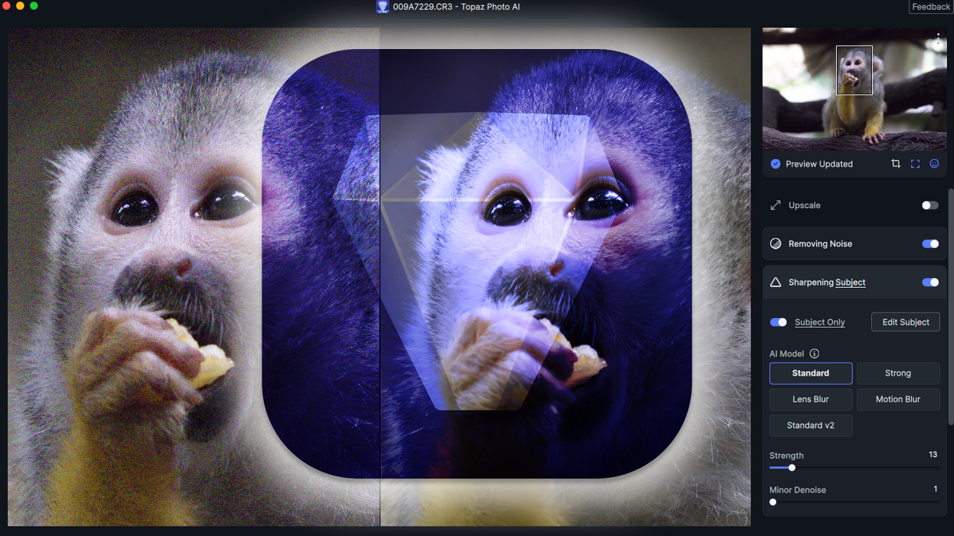 Topaz Labs uvedl Photo AI 2 nejen s lepším AI odšumováním: v akci o 40 USD levněji 