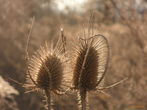 Samsung ST1000: nabitý technologiemi