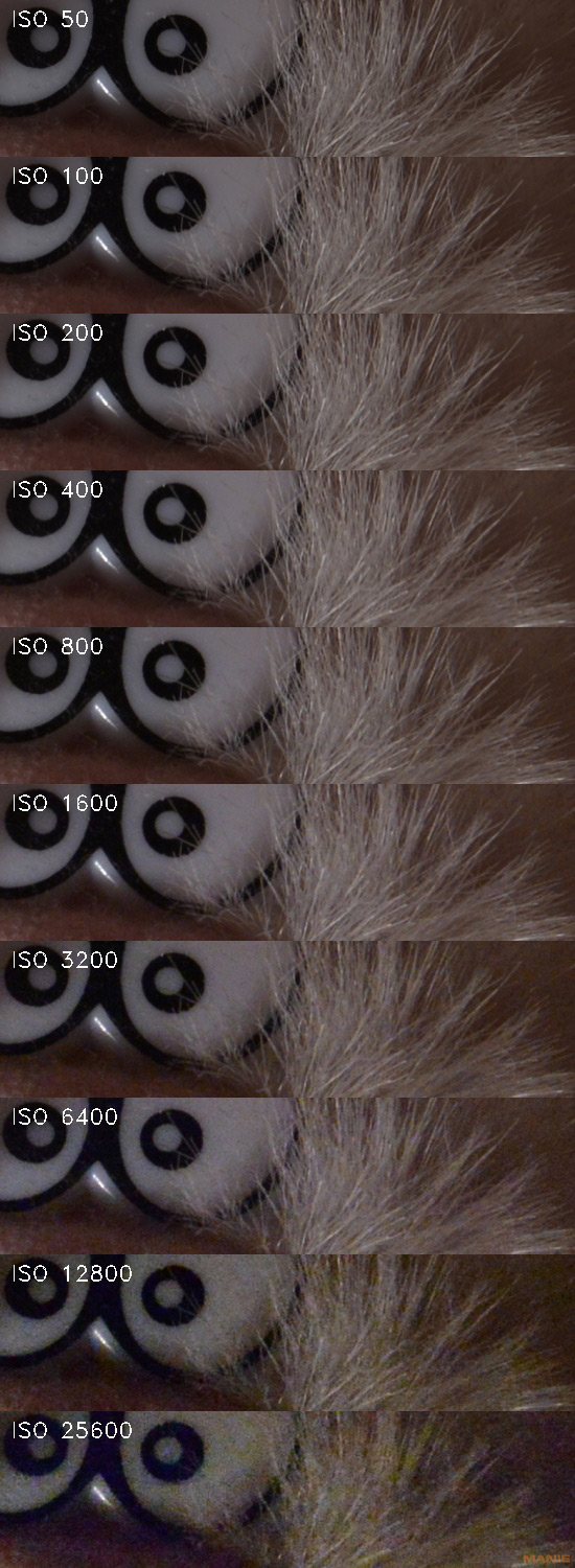 Nikon D600: vynikající vstup do světa full frame