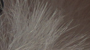 Sony Cyber-shot RX100 III (RX100M3): superSony