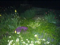 Téma pro tento měsíc - Jak fotí fotomobily, díl II.