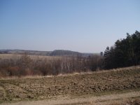 Olympus Camedia C-470 Zoom: Americký D-590