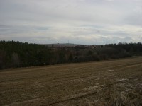 Casio Exilim Card EX-S600: Asijský plátek na fotografický způsob