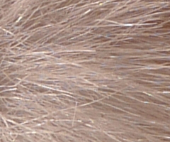 Panasonic Lumix LX3: nejtajnější přání vyslyšena