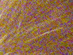 Fujifilm FinePix HS20EXR: důstojný nástupce