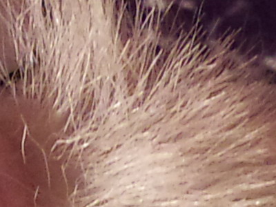 Sony Ericsson Xperia X10: fotící elegán