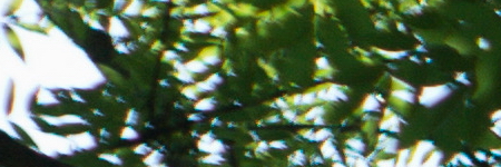 Minolta MC Rokkor-PF 50mm F1.7 (MC/MD)