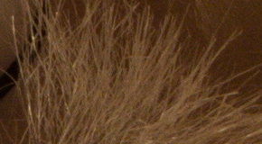 Nikon D7200: přesvědčivé zrcadlo