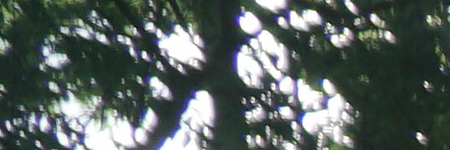 Sony E PZ 18-105mm F4 G OSS (SELP18105G)