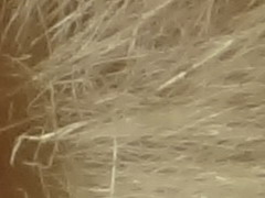 Sony Cyber-shot TX10: odolný zálesák