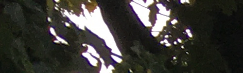 Apple iPhone SE: kompaktní silák