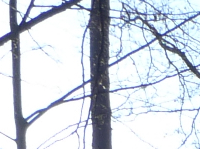 Panasonic Lumix LX3: nejtajnější přání vyslyšena