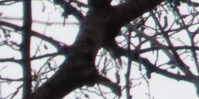 Fujifilm X-S1: jedinečný