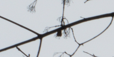 Nikon AF-S NIKKOR DX 55-300mm 1:4.5-5.6G ED VR