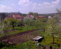 Téma pro tento měsíc - Jak fotí fotomobily, díl II.