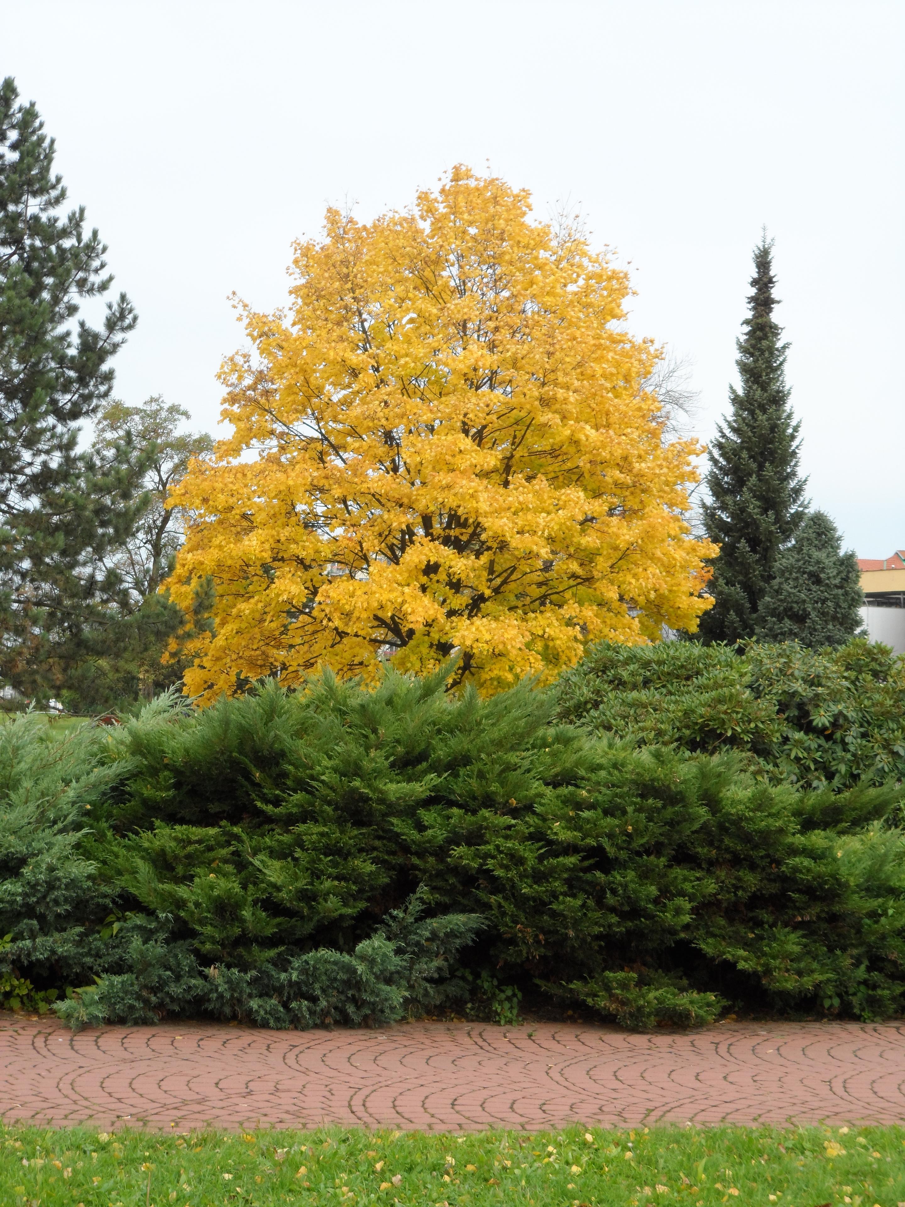 Samsung MV800: pro každý úhel i autoportréty