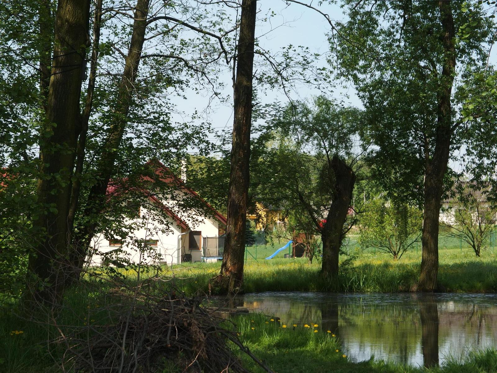 Olympus Stylus XZ-2: jednoduše skvělý