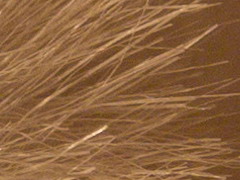 Olympus PEN E-PL2: PEN počtvrté a zase lépe