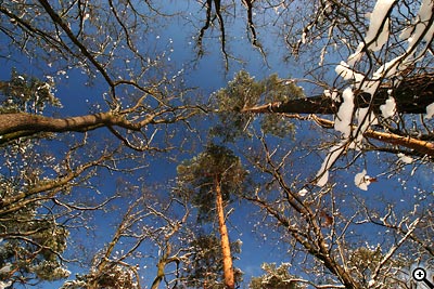 Cesta ke kvalitní fotografii: 4.díl