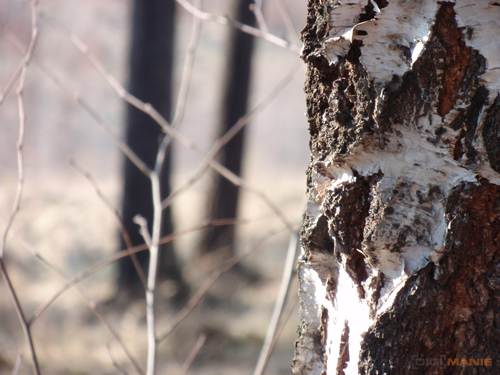 Olympus mju 9000: 10× ultrazoom v kompaktním balení