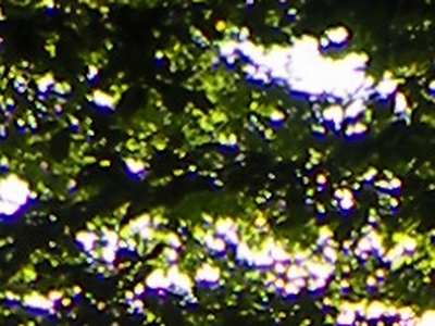 Nikon Coolpix P80: ultrazoom plný protikladů