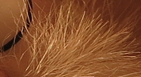 Canon PowerShot G1 X Mark II: významné zlepšení