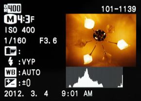Fujifilm X-S1: jedinečný
